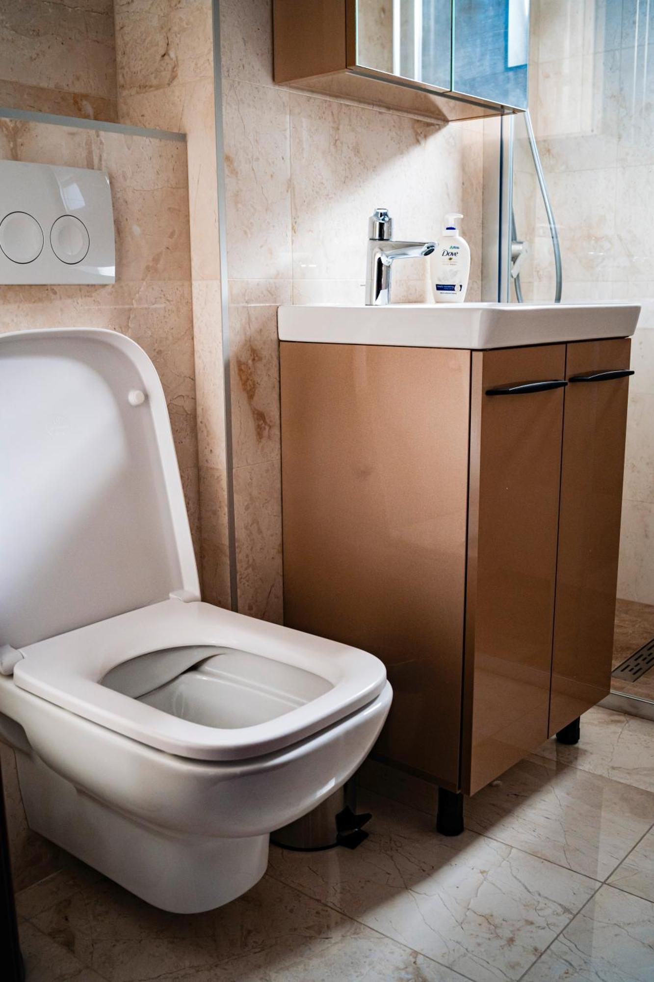 Downtown Apartment Râmnicu Vâlcea 外观 照片